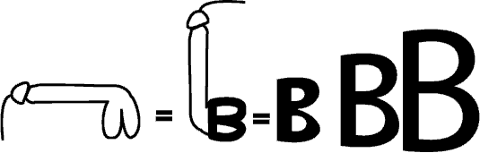 An illustration depicting the letter B as it relates to a pair of human gonads