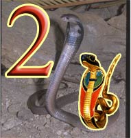 A combined image of a cobra, a cobra icon, and the number 2
