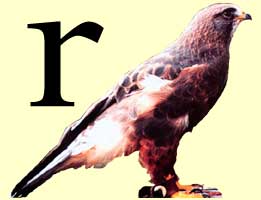 A hawk on a perch and minuscule r