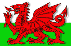 Cymur (Sim-ur), the Welsh dragon.