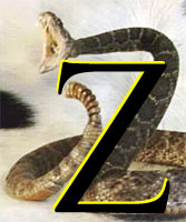 Letter Z superimposed on a striking rattler