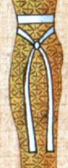 A midsection view of Isis wearing the 'genetic crossing' sash.